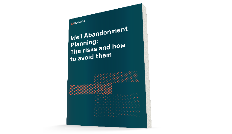 White Paper_Well abandonment planning_The risks and how to avoid them_v2